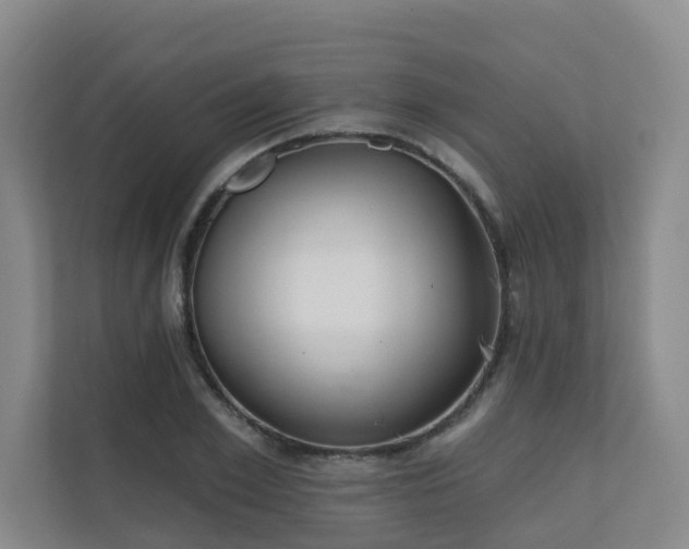 X0000110720981200906121424