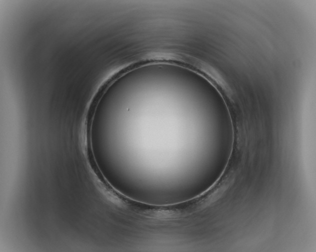 X0000110720984200906121424