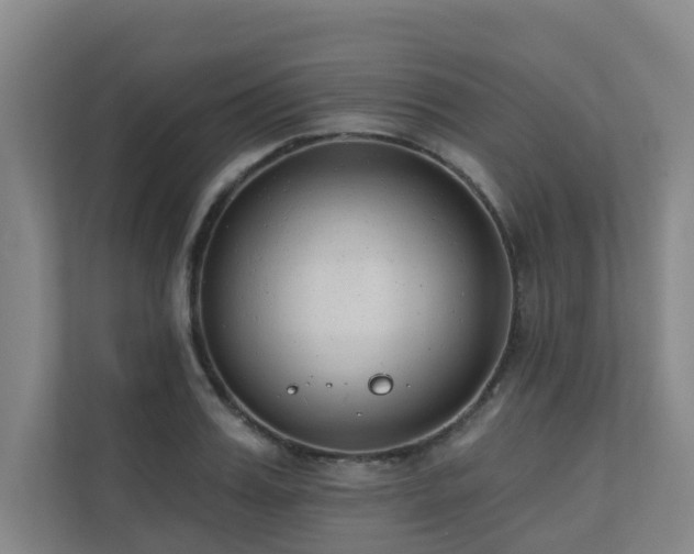 X0000110720987200906121424