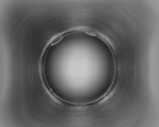 X0000110720989200906121424