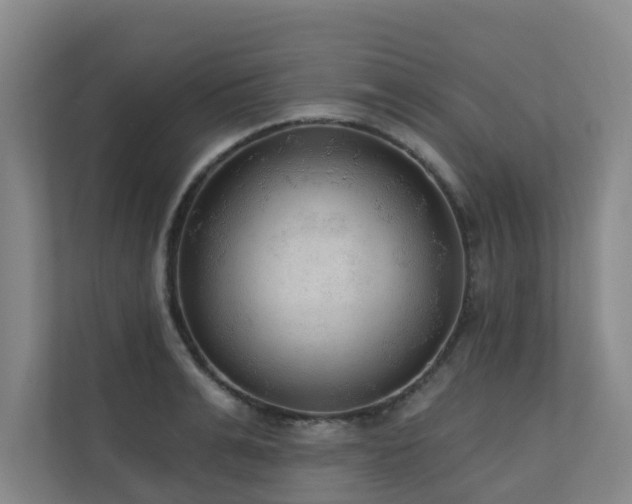 X0000110720991200906121424