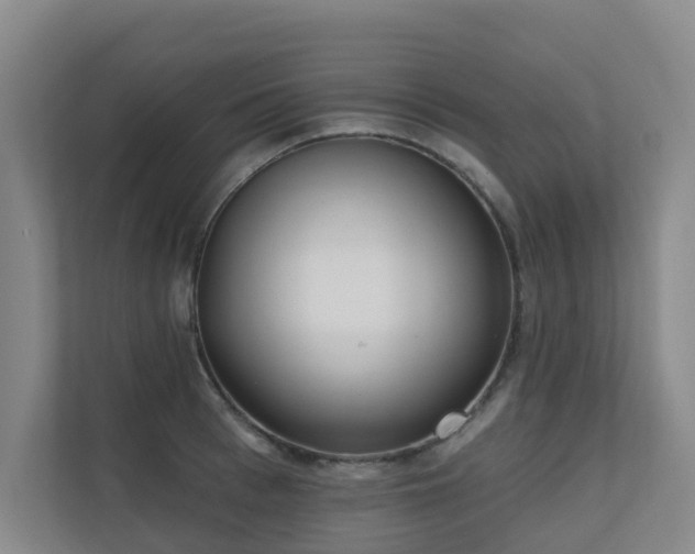 X0000110720993200906121424