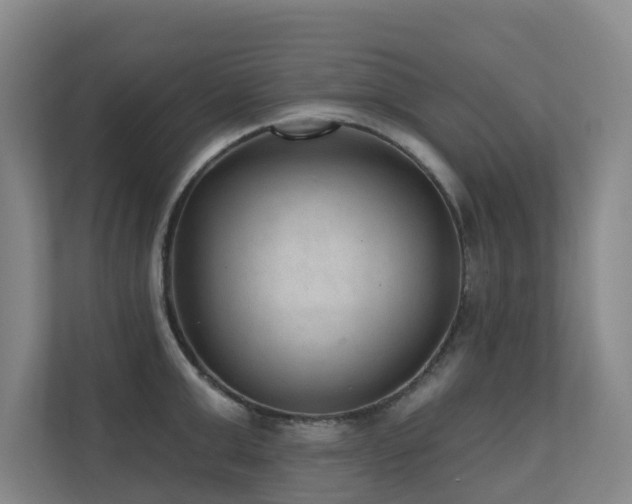 X0000110720999200906121424