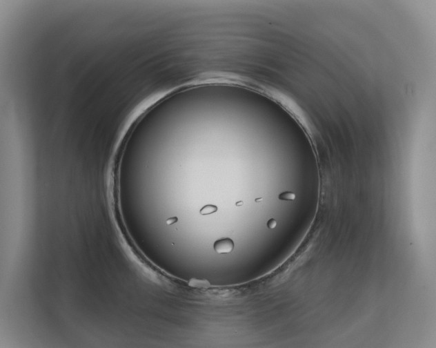 X0000110721003200906121424