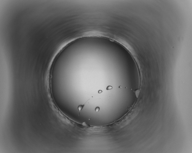 X0000110721008200906121424