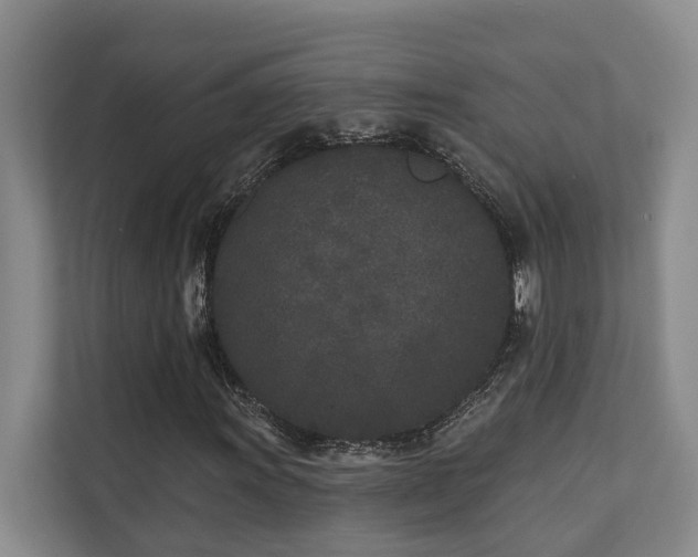 X0000110721011200906121423