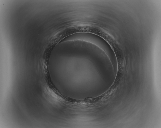 X0000110721013200906121423