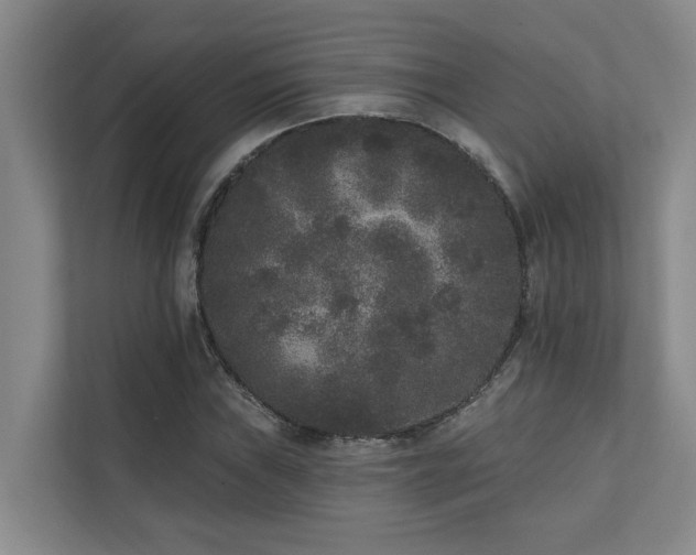 X0000110721019200906121424