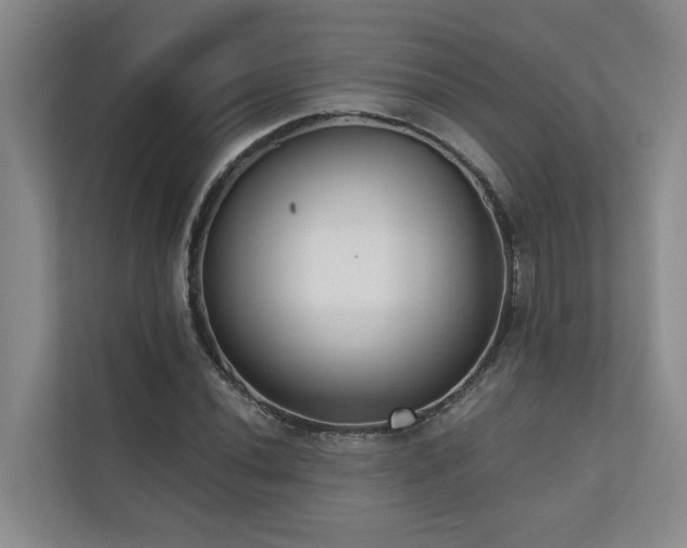 X0000110721020200906121424