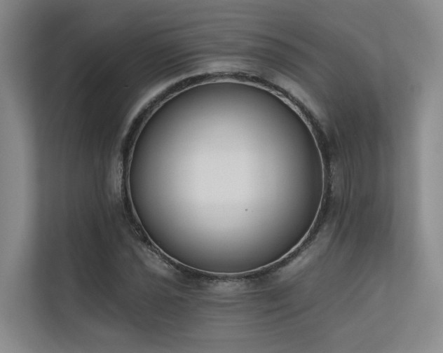 X0000110721021200906121424
