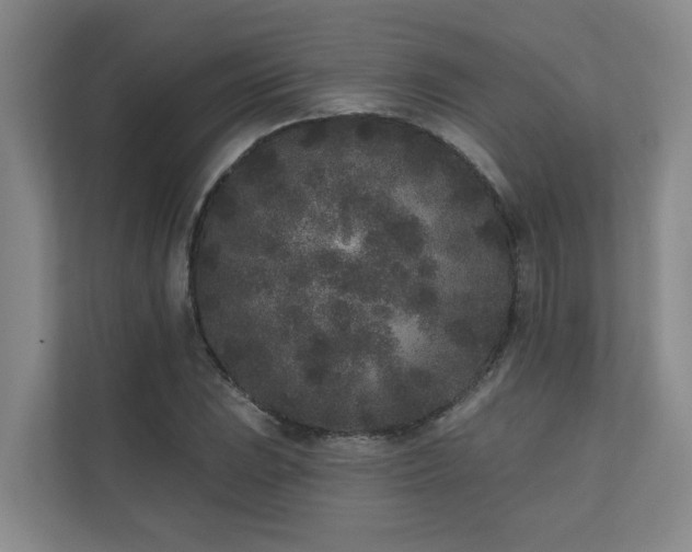 X0000110721023200906121424