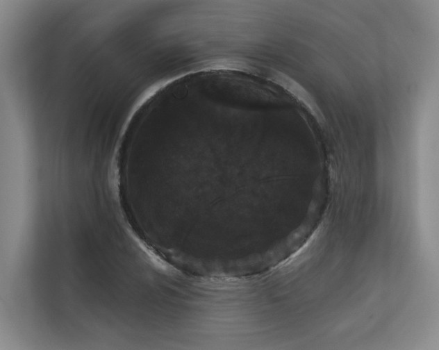 X0000110721024200906121424