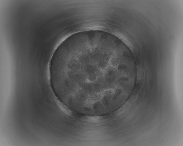 X0000110721031200906121424