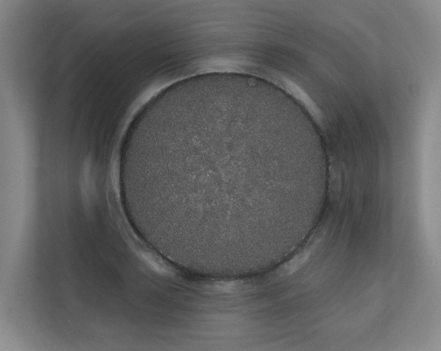 X0000110721035200906121424