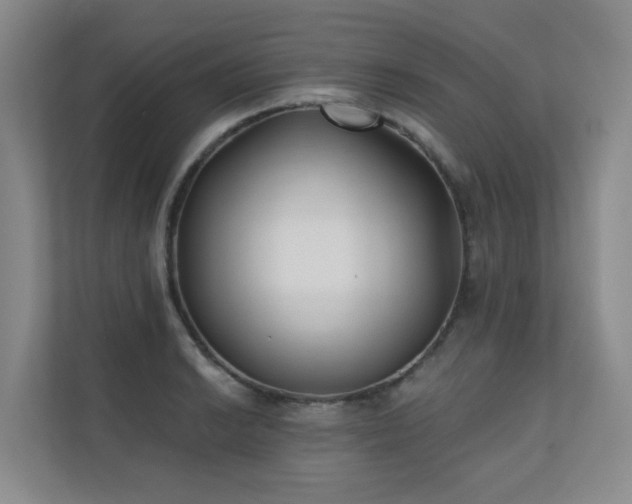 X0000110721038200906121424