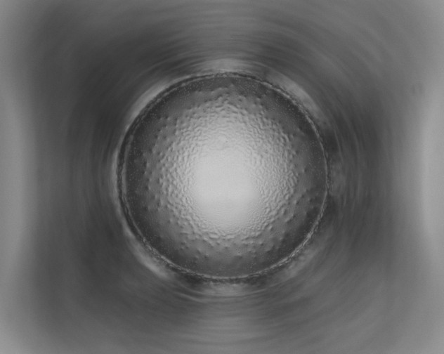 X0000110721039200906121424