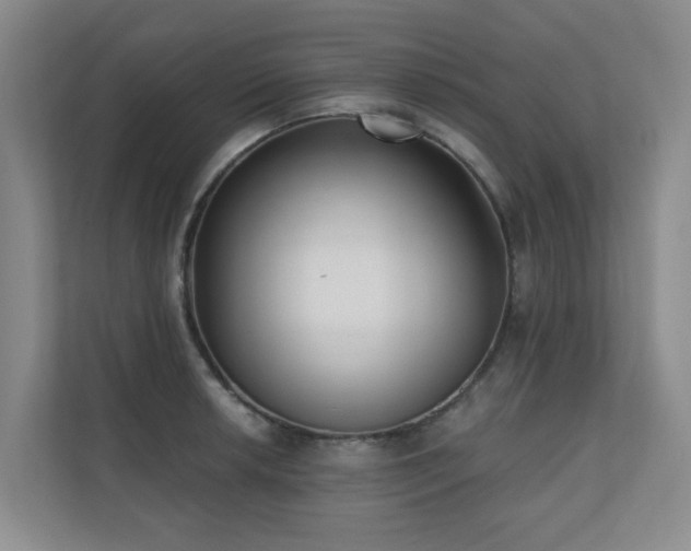X0000110721042200906121424