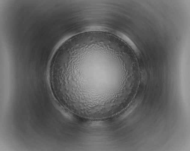 X0000110721043200906121424