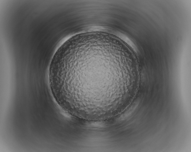 X0000110721047200906121424