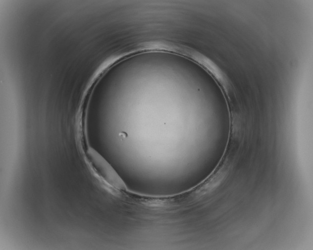 X0000110721048200906121424