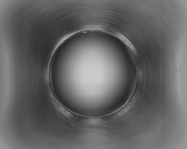 X0000110721052200906121424