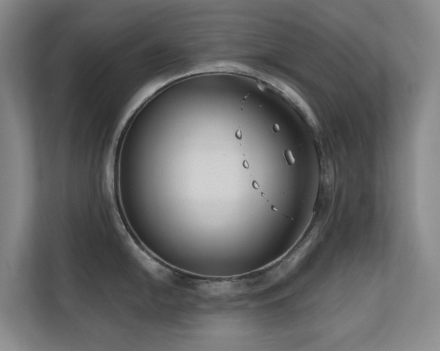 X0000110721054200906121424