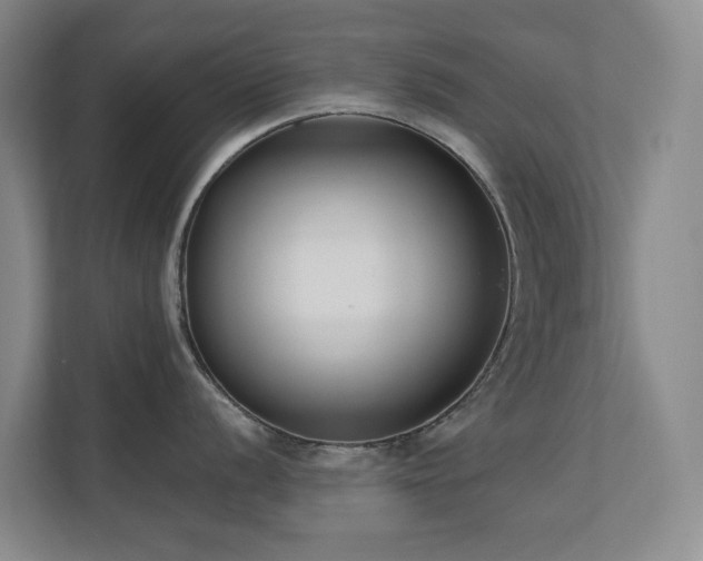X0000110721056200906121424