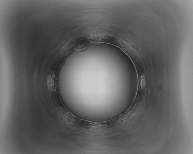 X0000110721059200906121423