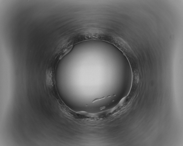 X0000110721060200906121423