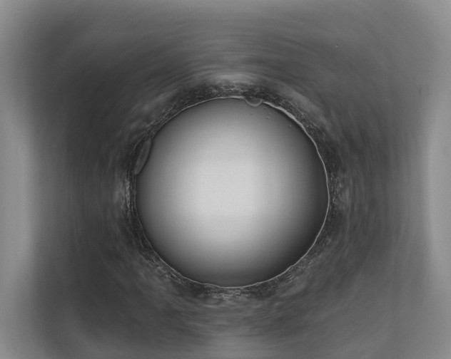 X0000110721061200906121423