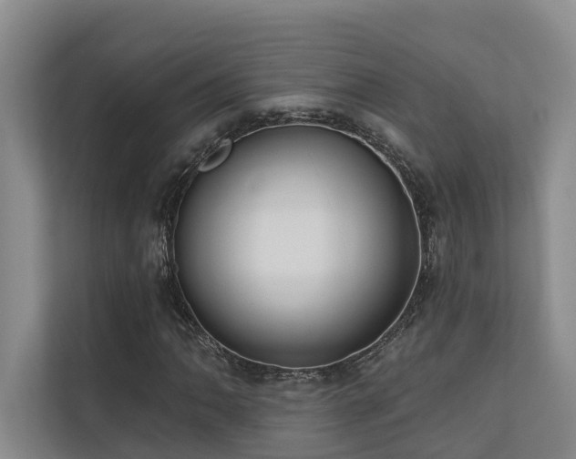 X0000110721062200906121423