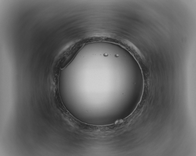 X0000110721064200906121423