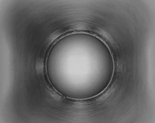 X0000110721065200906121423