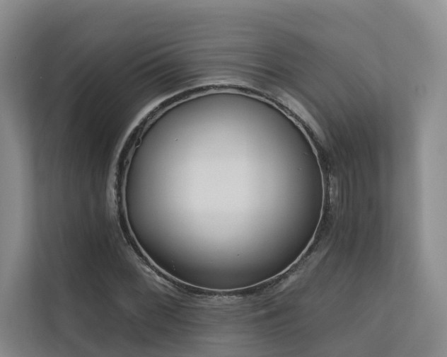 X0000110721068200906121423