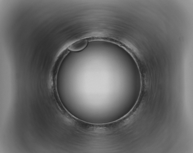 X0000110721070200906121423