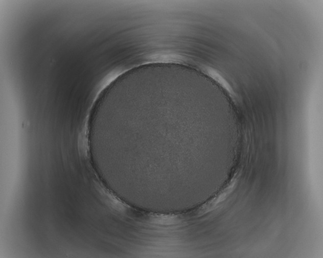 X0000110721071200906121423
