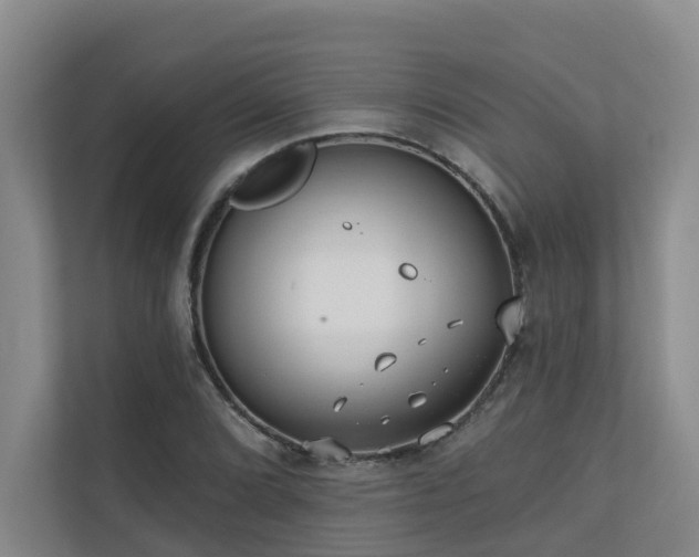 X0000110721072200906121423