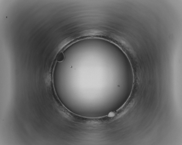 X0000110721073200906121423