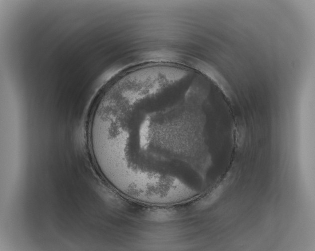 X0000110721074200906121423