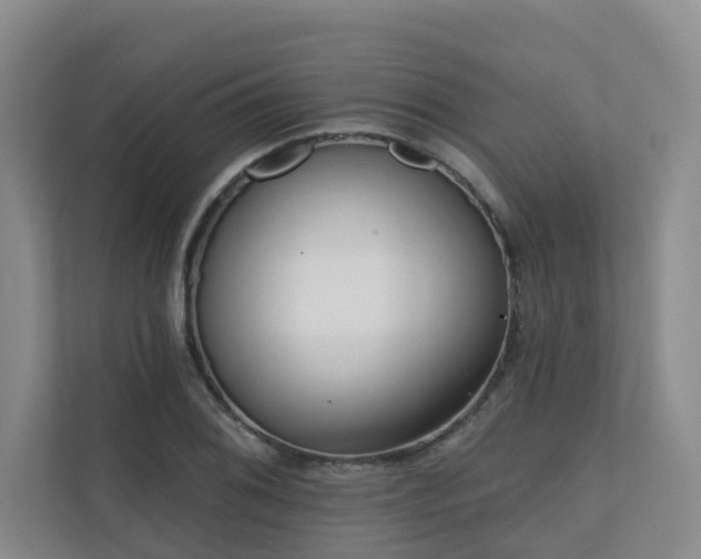 X0000110721076200906121423