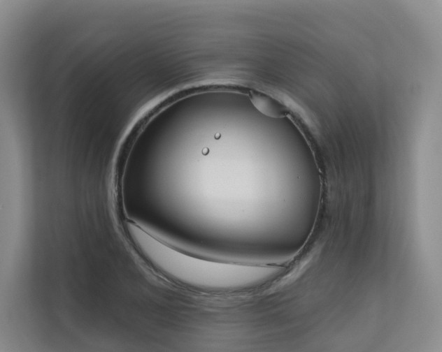 X0000110721077200906121423
