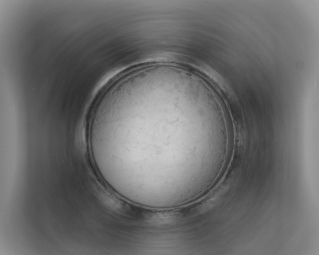 X0000110721078200906121423