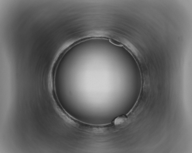 X0000110721080200906121423