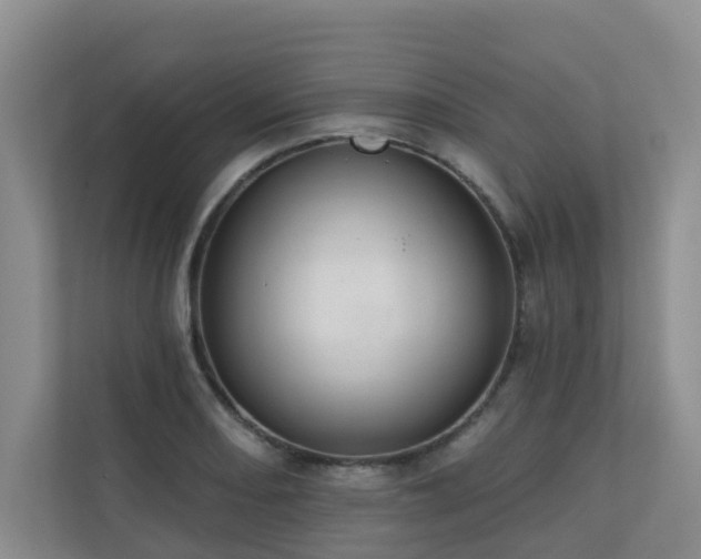 X0000110721082200906121423