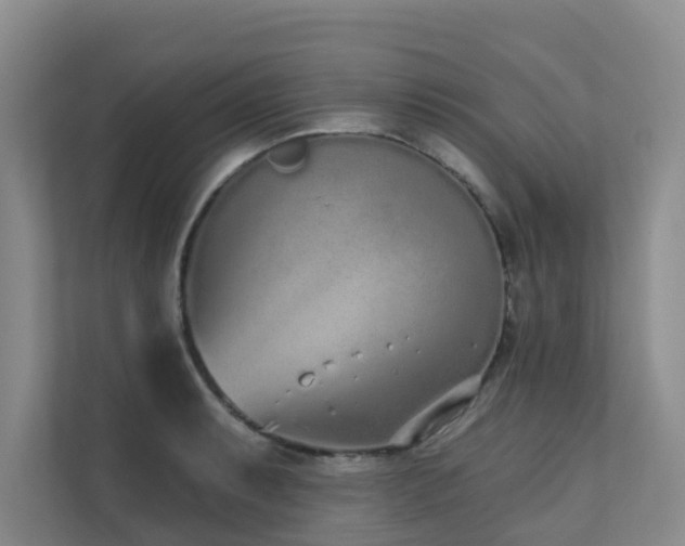 X0000110721087200906121423
