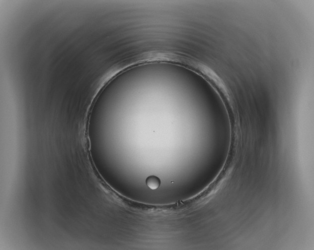 X0000110721089200906121423