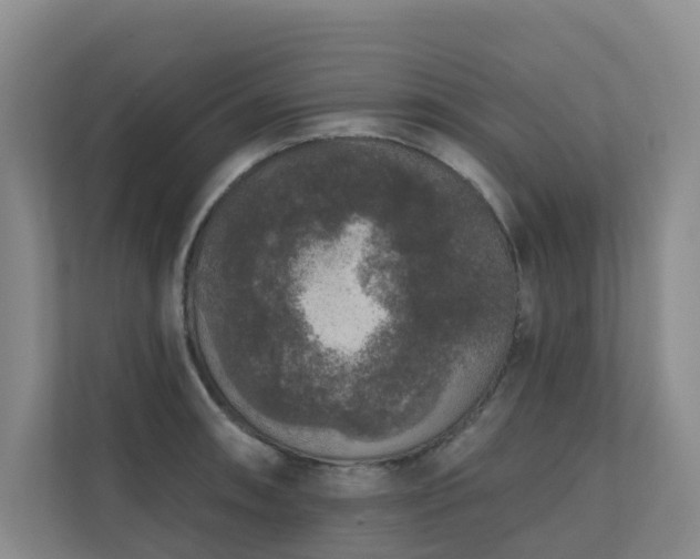 X0000110721090200906121423