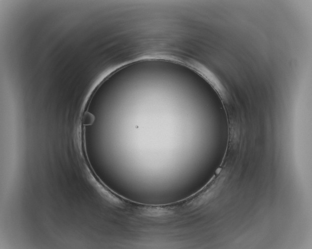 X0000110721100200906121423
