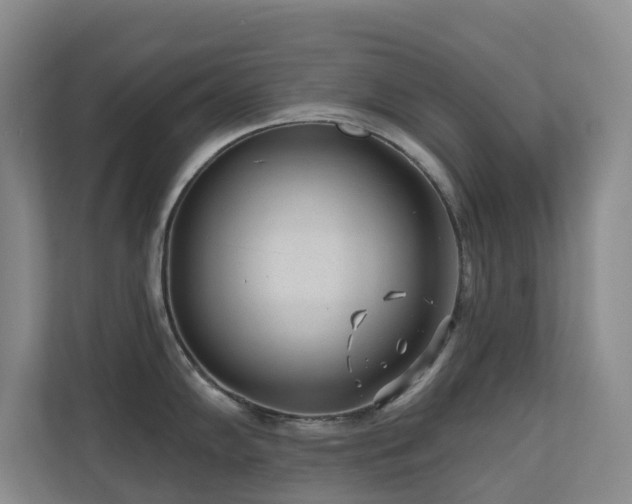 X0000110721102200906121423