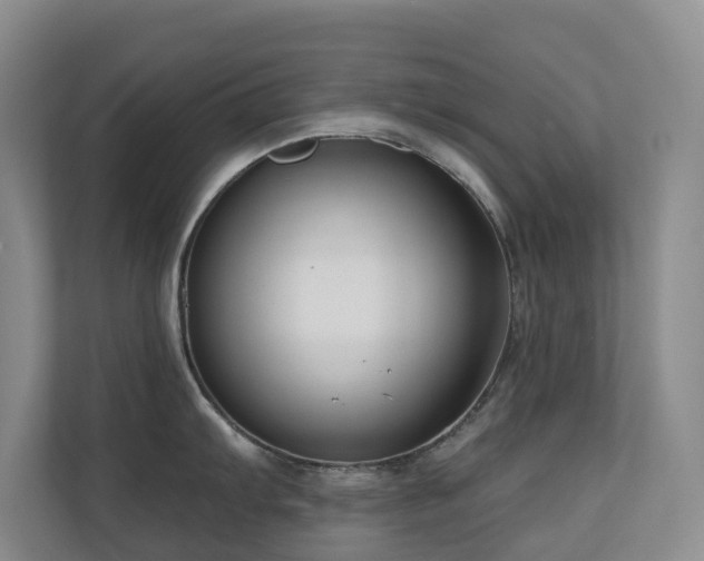 X0000110721103200906121423